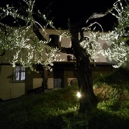 Marcello & Francesca Urbino